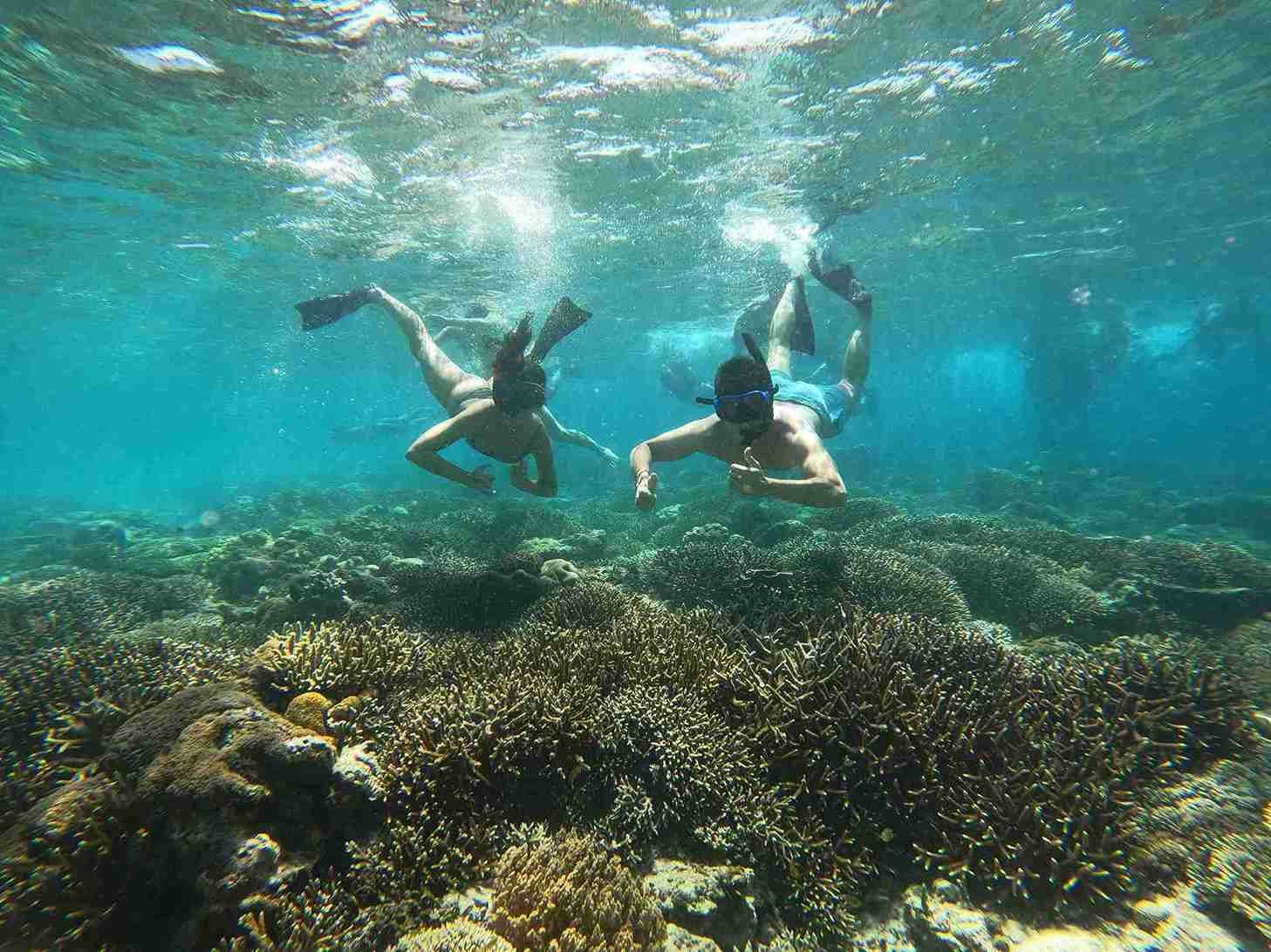 Snorkeling Trip Gili Trawangan