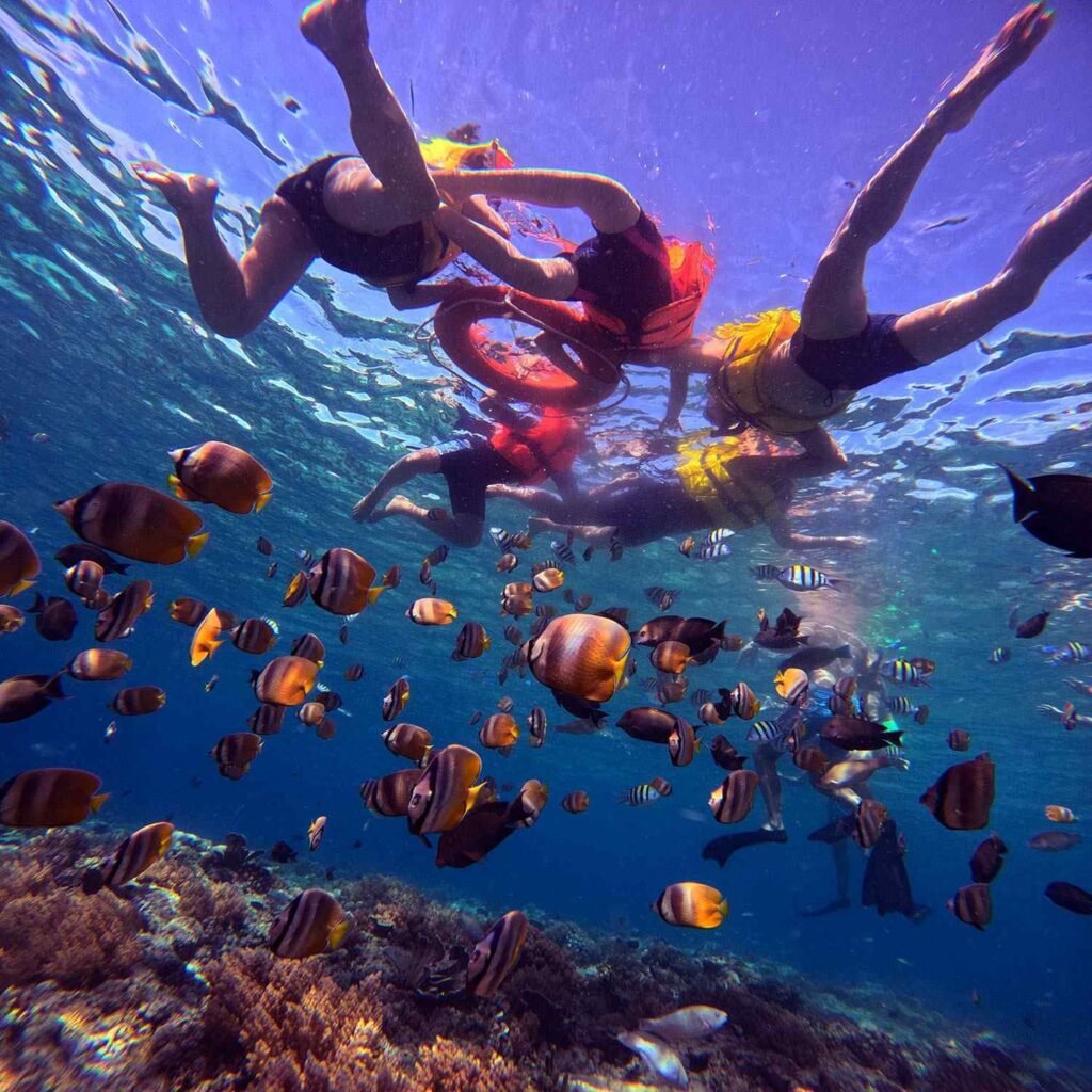 Open Trip Snorkeling Gili Trawangan
