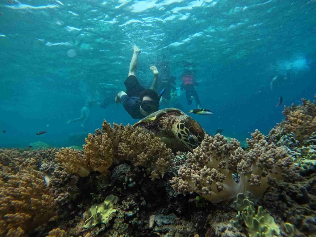 Snorkeling tour Gili Trawangan