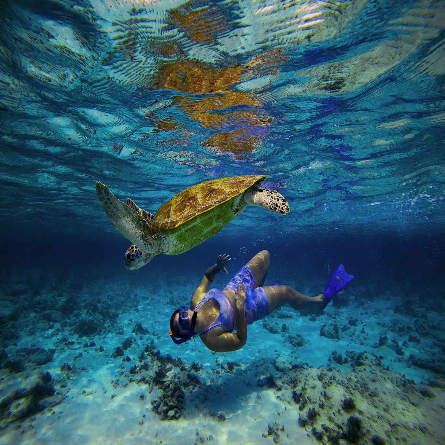 paket Wisata Gili Trawangan 1 Hari