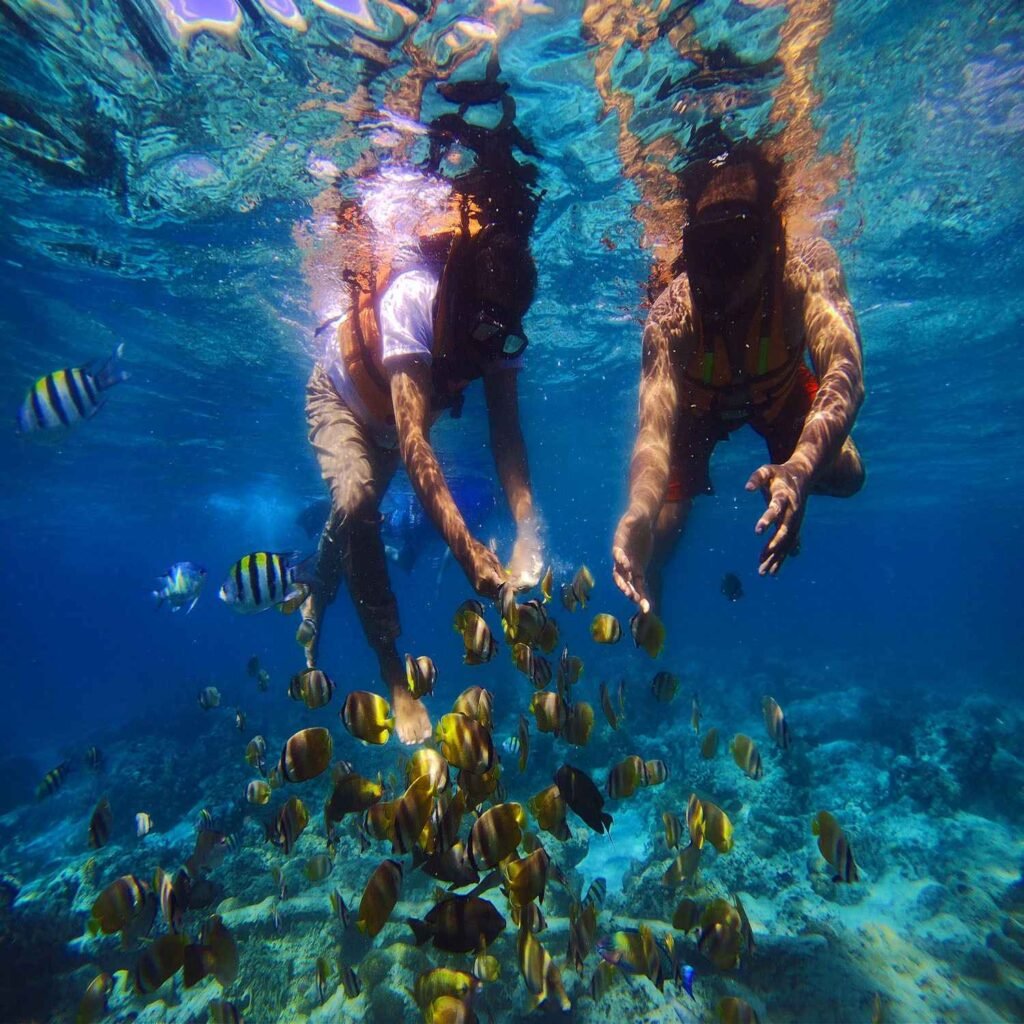 Spot Snorkeling di Coral Garden