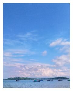 hiu paus lombok