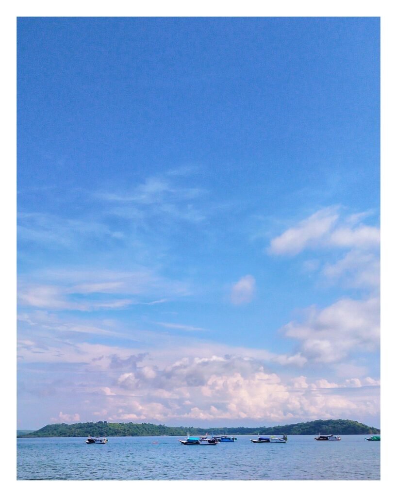 hiu paus lombok