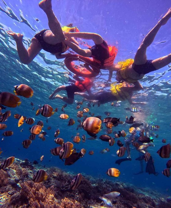 Open Trip Snorkeling Gili Trawangan
