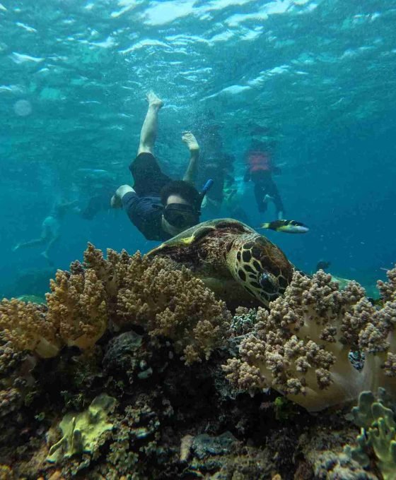 Snorkeling tour Gili Trawangan