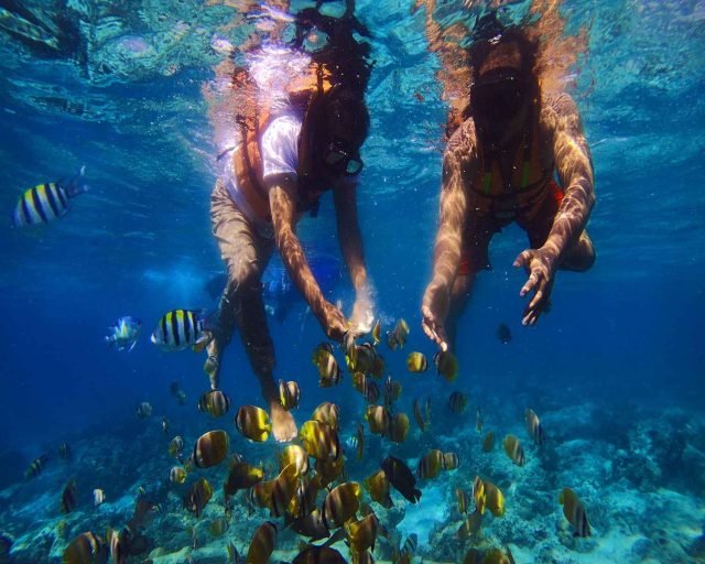 Snorkeling Trip Gili Trawangan