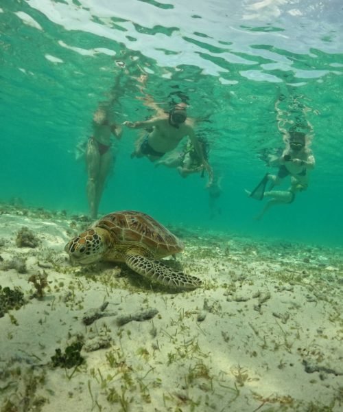 paket Wisata Gili Trawnagan 1 hari