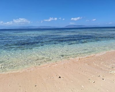 WhatsApp Image 2023-08-11 at 16.42.41 (1)